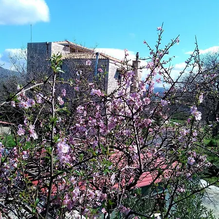 Ermis - The Cretan Castello Kástellos